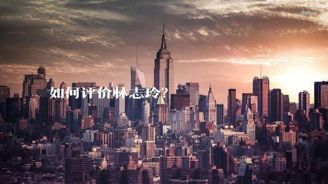 如何评价林志玲？